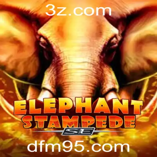 dfm9.com Casino Withdrawal